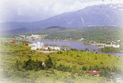 ���ȍ���